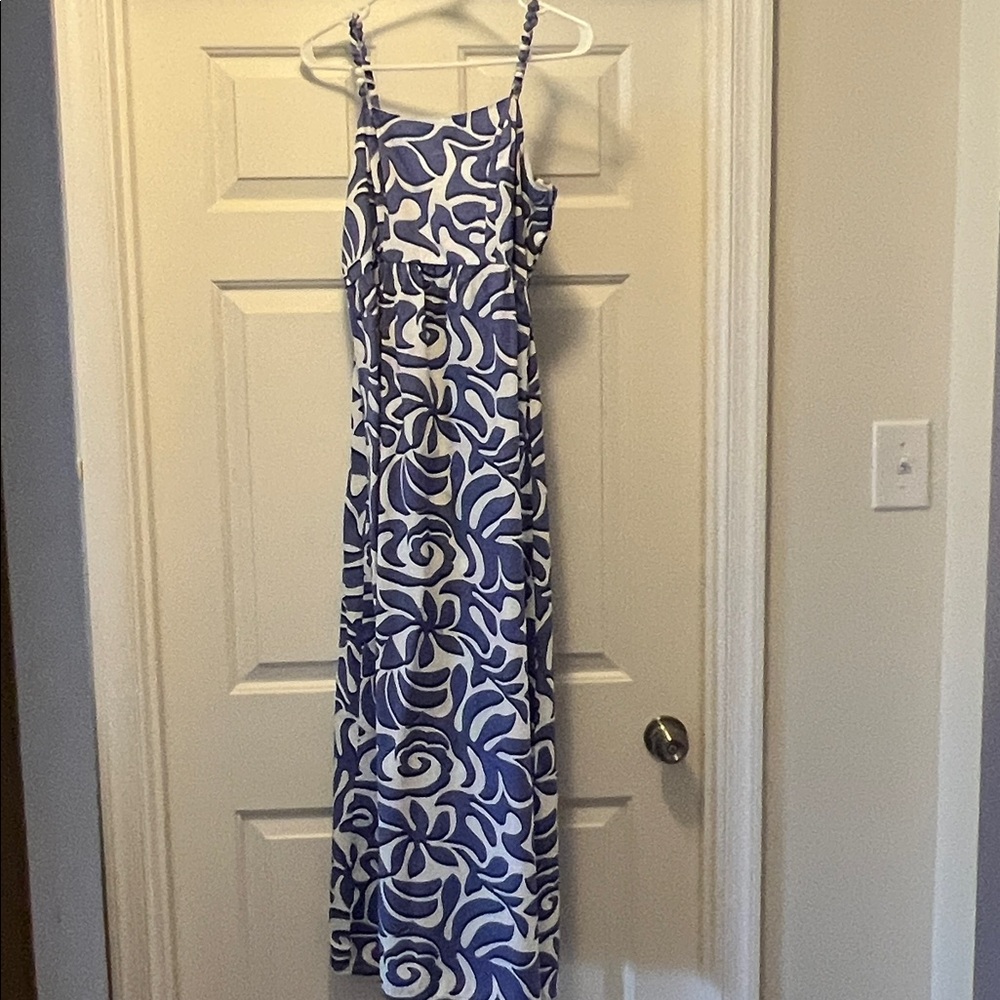 Japna Blue and White Maxi Dress